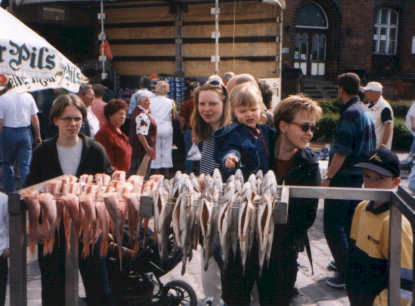 Enkel08a.jpg (88416 Byte)