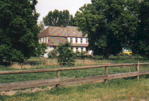Enkel29a.jpg (38245 Byte)
